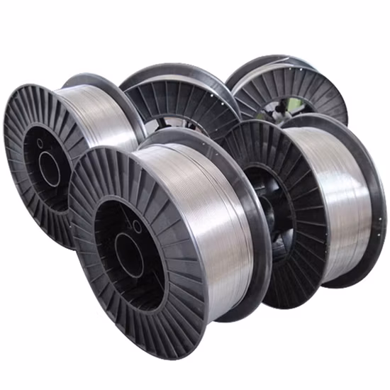 Anpassbarer 0,6-mm-Titandraht für innovative Architekturdesigns